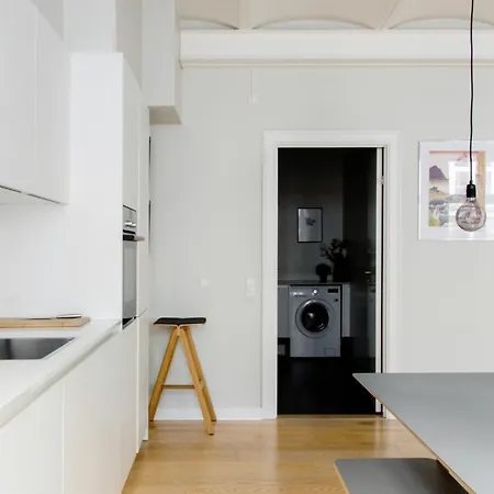 Huge Elegant Cosy Comfortable In The Heart Of The City * Kopenhaga