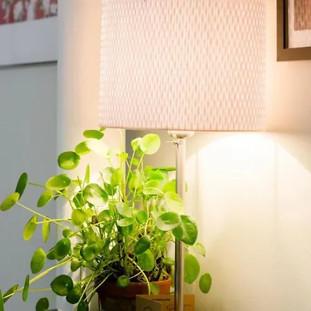 Huge Elegant Cosy Comfortable In The Heart Of The City Apartament *